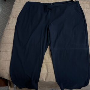 Women’s The Limited Navy Pants, 22W